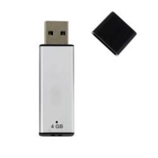 Immagine di USB BULK 4GB 2.0 A