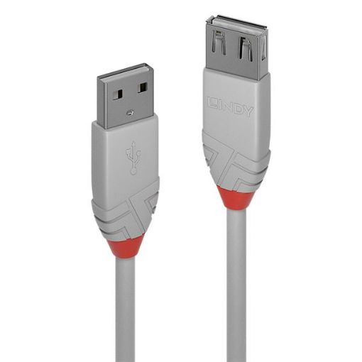 Immagine di PROLUNGA USB 2.0 TIPO A GRIGIO, 0,2M