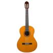 Immagine di Chitarra Classica C40 Standard