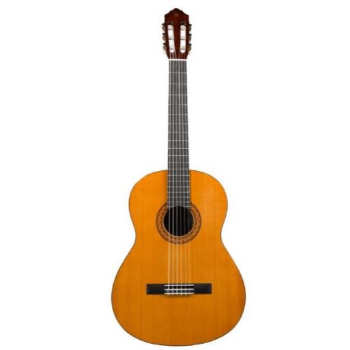 Immagine di Chitarra Classica C40 Standard