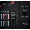 Immagine di DJCONTROL INPULSE 300