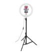 Immagine di CLICKRINGUSB - Professional Tripod with Ring Light