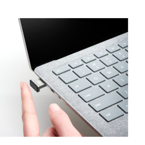 Immagine di VeriMark  IT Fingerprint Key