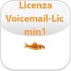 Immagine di Licenza Voicemail per 1 porta (2 - 250)