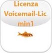 Immagine di Licenza Voicemail per 1 porta (2 - 250)