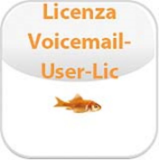 Immagine di Licenza utente Voicemail