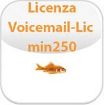 Immagine di Licenza Voicemail per 1 porta (> 250)