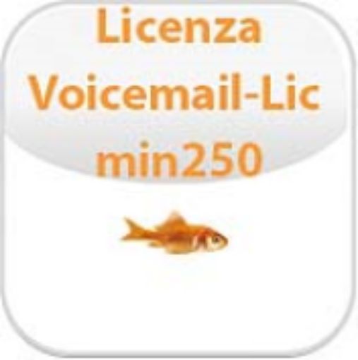 Immagine di Licenza Voicemail per 1 porta (> 250)