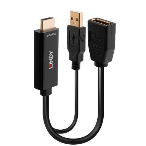 Immagine di Converter HDMI a DisplayPort 1.2 con alimentazione USB