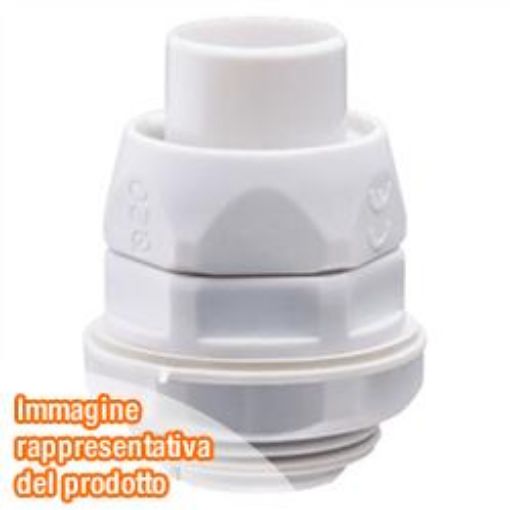 Immagine di DX54020