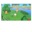 Immagine di HAC ANIMAL CROSSING: NEW HORIZONS