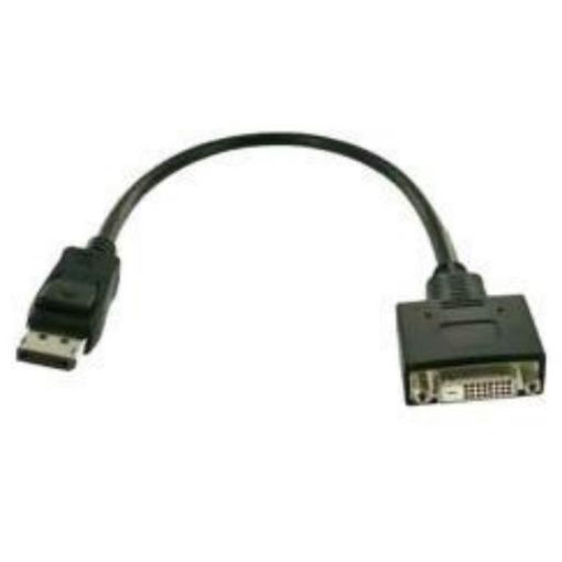 Immagine di Display Port / DVI-D adapter cable