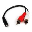 Immagine di Cavo Stereo mini Jack 3,5mm a 2 RCA F/M