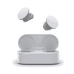 Immagine di SURFACE EARBUDS