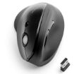 Immagine di Mouse Pro Fit® Ergo wireless verticale