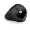 Immagine di Mouse Pro Fit® Ergo wireless verticale