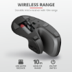 Immagine di VERRO WIRELESS ERGO MOUSE