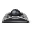 Immagine di Trackball cablato Expert Mouse