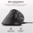 Immagine di VOXX ERGONOMIC RECHARGEABLE MOUSE