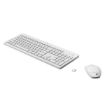 Immagine di Combo tastiera e mouse wireless HP 230