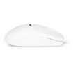 Immagine di XMICEU2WH-OEM  Mouse Ottico USB 1000dpi + 3 Tasti Scroll BIANCO