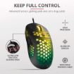 Immagine di GXT960 GRAPHIN LIGHTWEIGHT MOUSE