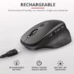 Immagine di OZAA RECHARGEABLE MOUSE BLACK