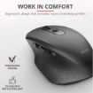 Immagine di OZAA RECHARGEABLE MOUSE BLACK