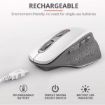 Immagine di OZAA RECHARGEABLE MOUSE BLACK