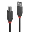 Immagine di CAVO USB 2.0 TIPO A/TIPO B NERO, 10M