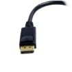 Immagine di Adattatore DisplayPort a DVI