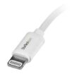 Immagine di Cavo Lightning 8-pin a USB 1m