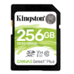 Immagine di SDS2/256GB