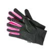 Immagine di GLOVES - Touch Gloves Sport/ Guanti Touch Sport