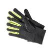 Immagine di GLOVES - Touch Gloves Sport/ Guanti Touch Sport