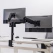 Immagine di EQUIP - STAFFA DOPPIO MONITOR 17"-32" DA SCRIVANIA