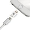 Immagine di ADLIGHT - Micro Usb to Lightning Adapter 12W