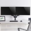 Immagine di EQUIP - STAFFA DOPPIO MONITOR 17"-32" DA SCRIVANIA