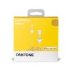 Immagine di PANTONE - USB-A to Lightning Cable 12W