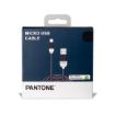 Immagine di PANTONE - USB-A to Micro Usb Cable 10W