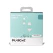 Immagine di PANTONE - USB-A to USB-C Cable 10W