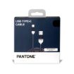 Immagine di PANTONE - USB-A to USB-C Cable 10W