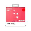 Immagine di PANTONE - USB-A to USB-C Cable 10W