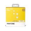 Immagine di PANTONE - USB-A to USB-C Cable 10W