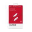 Immagine di PANTONE - USB-C to USB-C Cable 60W