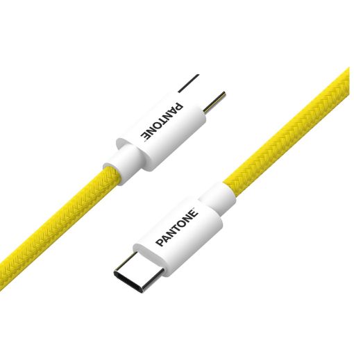 Immagine di PANTONE - USB-C to USB-C Cable 60W