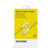 Immagine di PANTONE - USB-C to USB-C Cable 60W