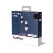 Immagine di PANTONE - USB-A to USB-C Cable 10W