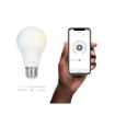 Immagine di HOMBLI SMART BULB (9W) CCT