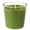 Immagine di RICARICA SWITCH & SHINE 65 x Ø 65 mm - Verde foglia - 6 pezzi